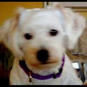 Meet your Posher, Kazz